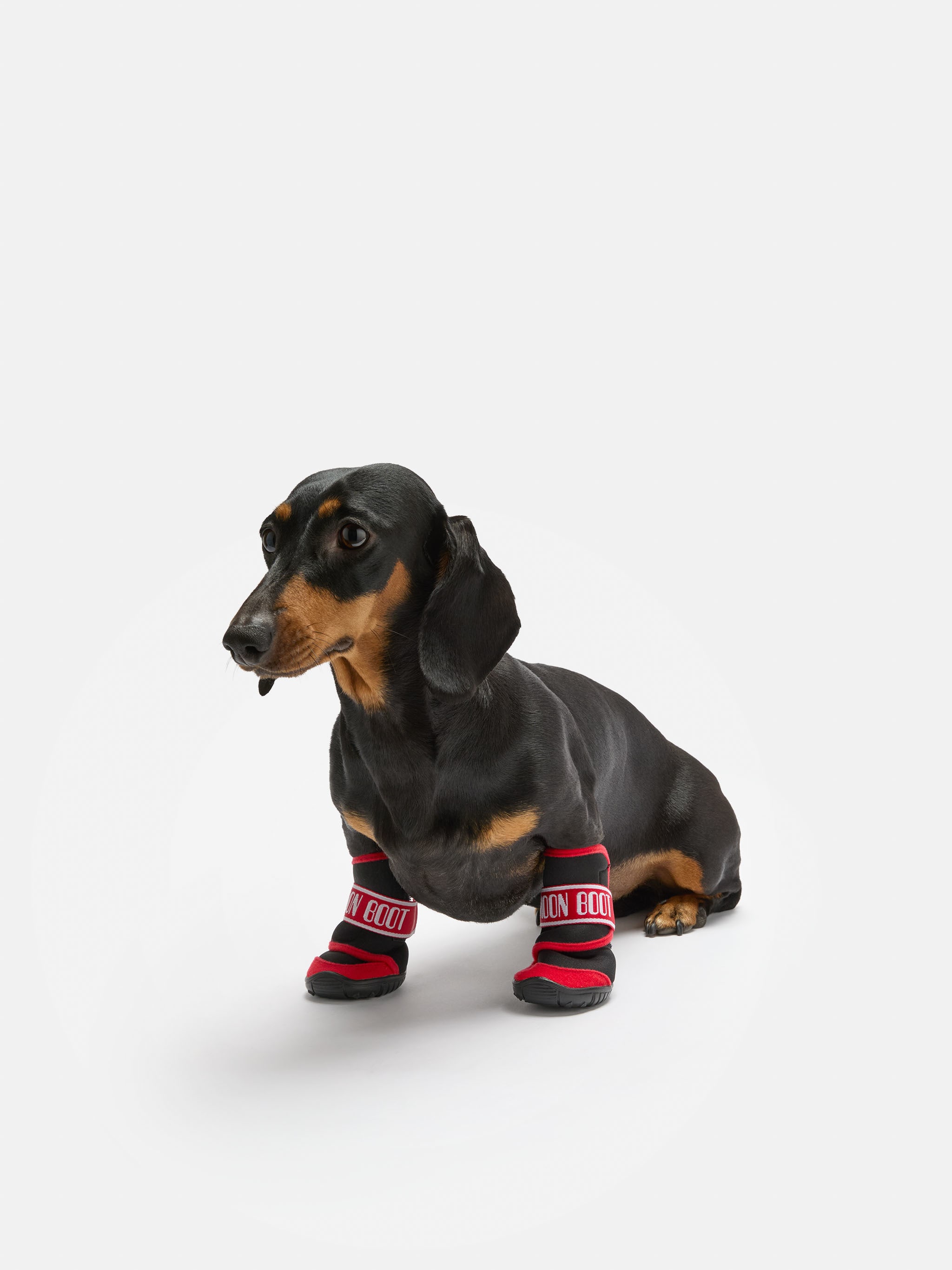 SAPATOS DE CÃO MOON BOOT X POLDO DOG COUTURE VERMELHO