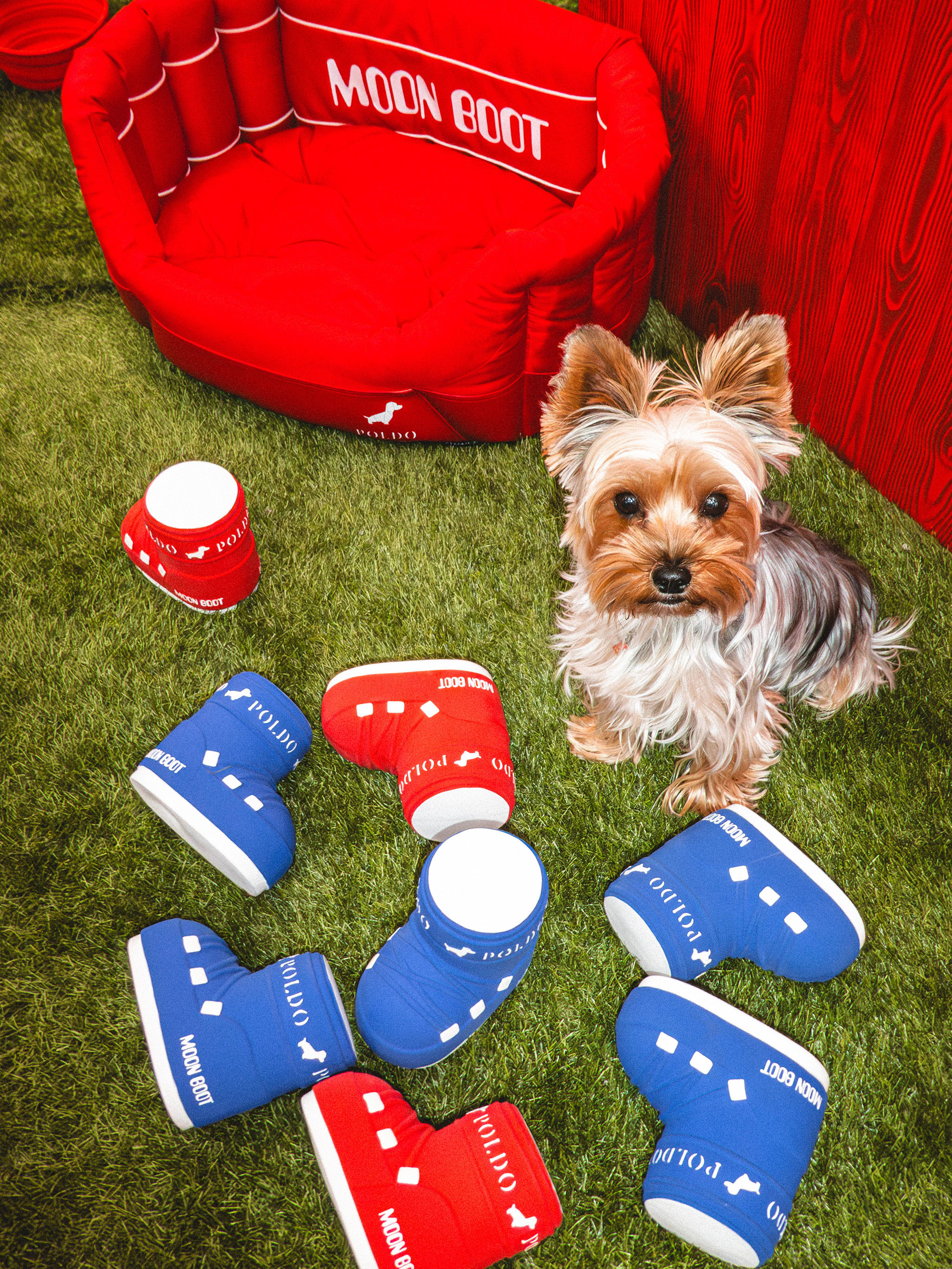 MOON BOOT X POLDO DOG COUTURE CAMA DE CACHORRO FORRADA VERMELHA